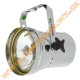 American DJ Par36 Pinspot Silver